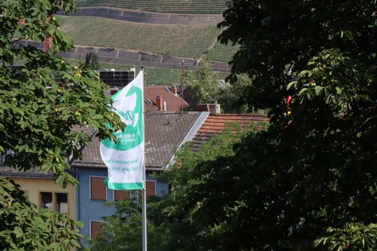 Die Mayors-for-Peace-Flagge weht im Wind, im Hintergrund Geb&auml;ude und Felder der Stadt Bingen (Rheinland-Pfalz).